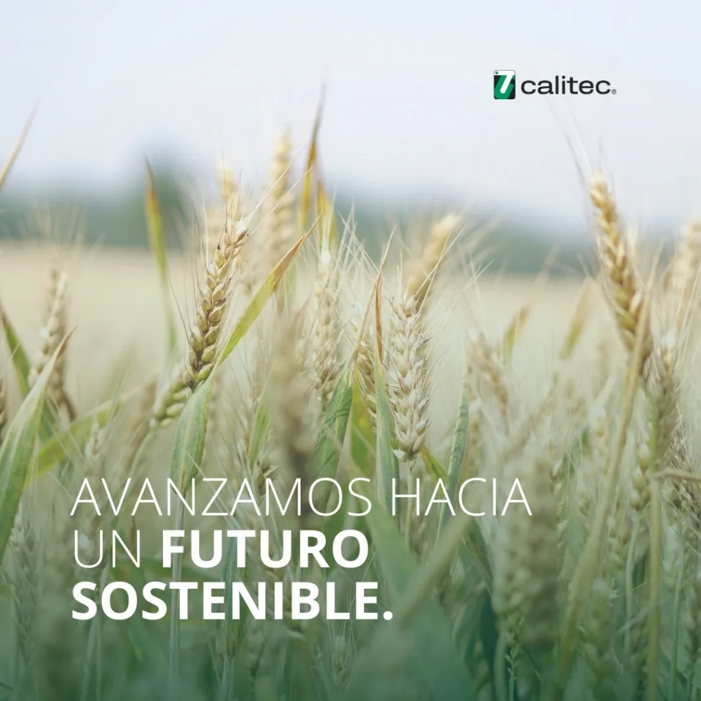 Futuro sostenible